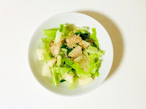 梨入り生野菜サラダ
